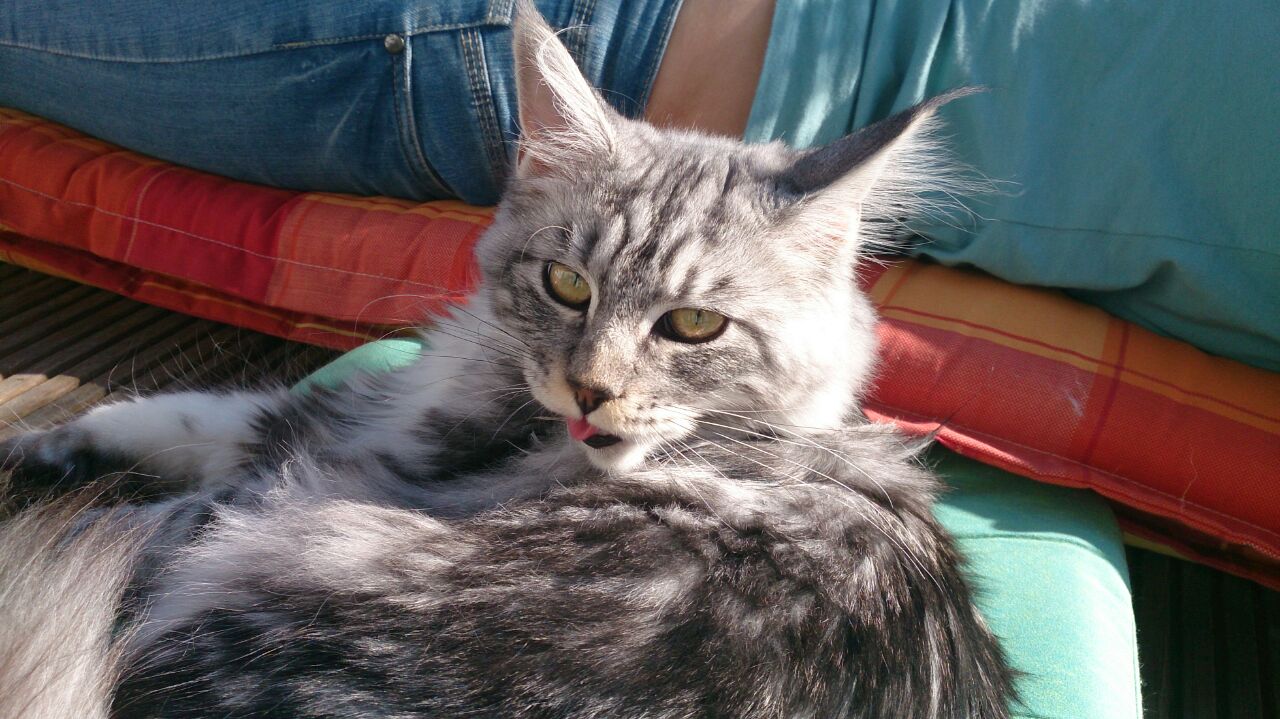 Charjan18.11.14