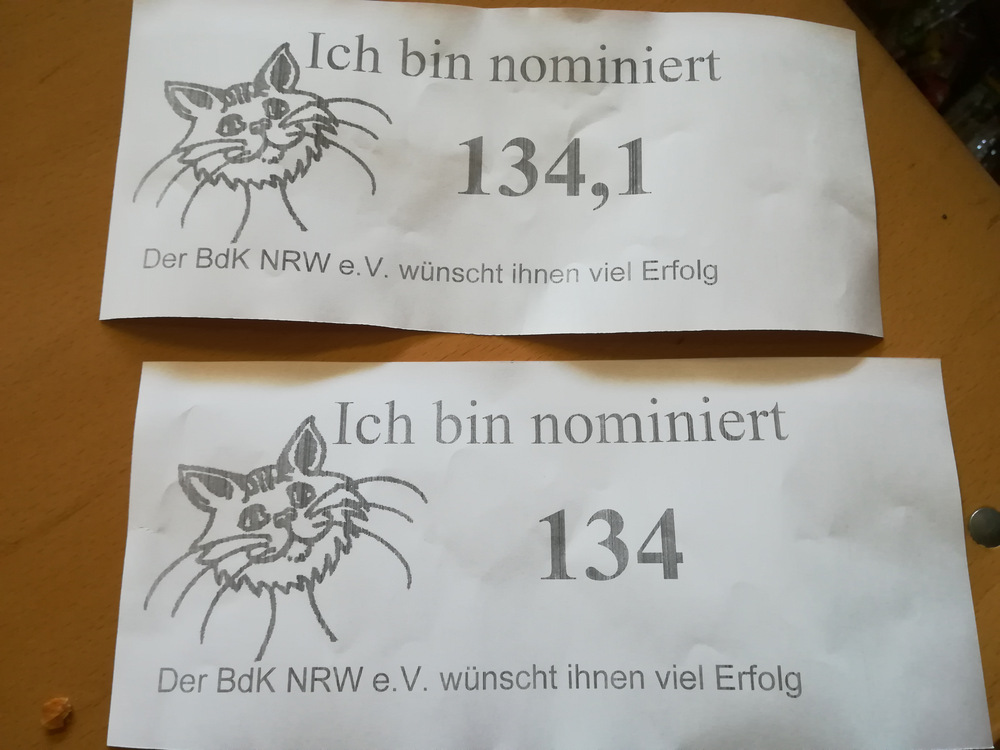 IMG 20181020 140207