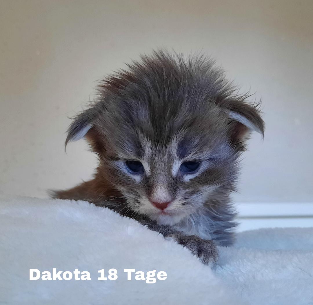 Dakota18T2