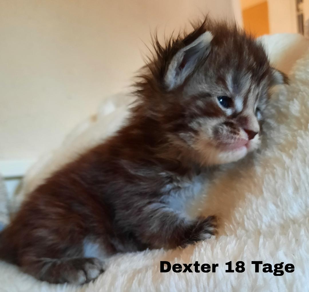 Dexter18T2