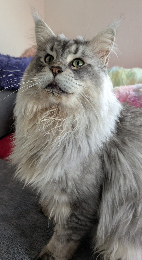 PXL 20250929 094033204