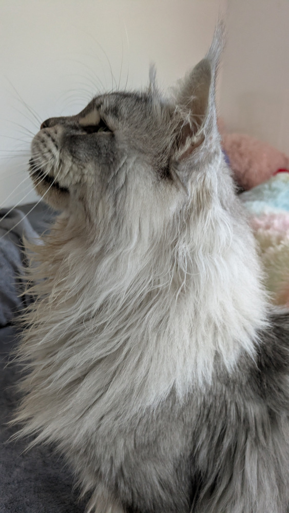 PXL 20250929 094040592