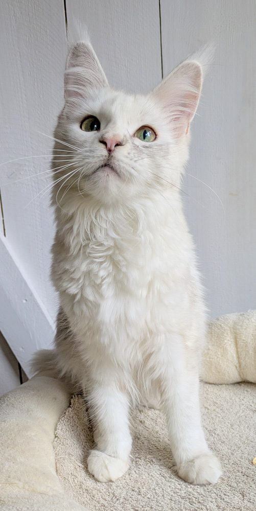 PXL 20251027 120848020