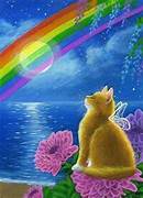 regenbogen1