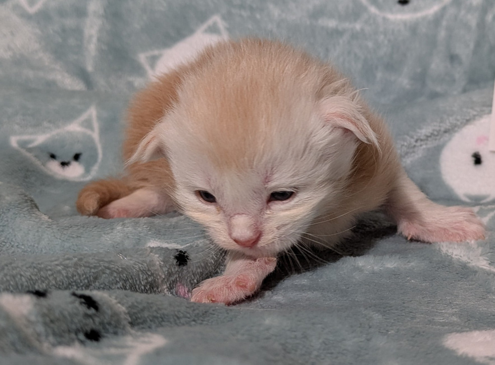 PXL 20251211 161513280