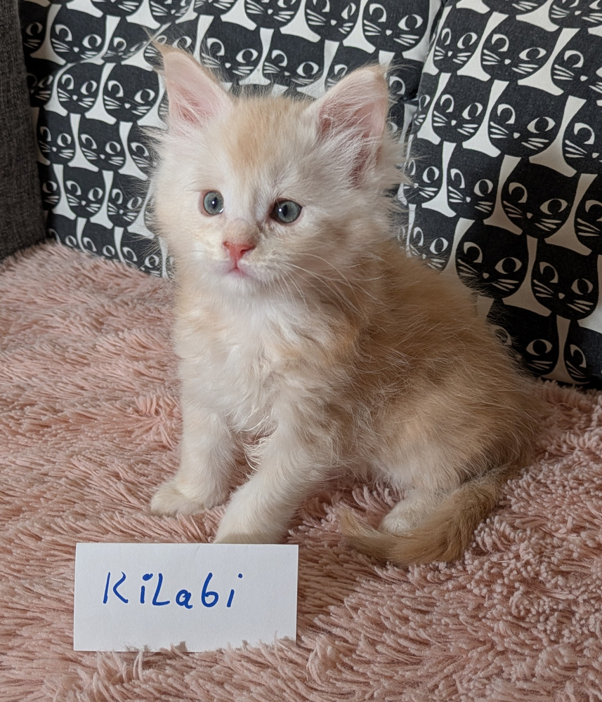 PXL 20260109 114056873