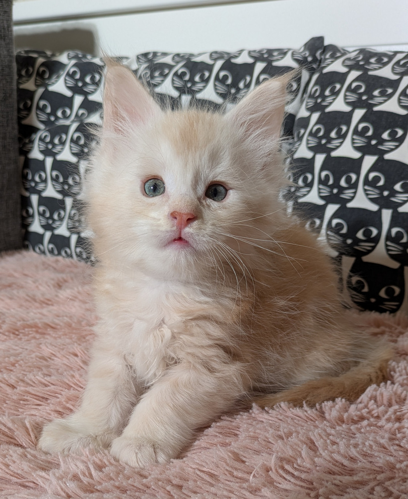 PXL 20260109 114130879.MP