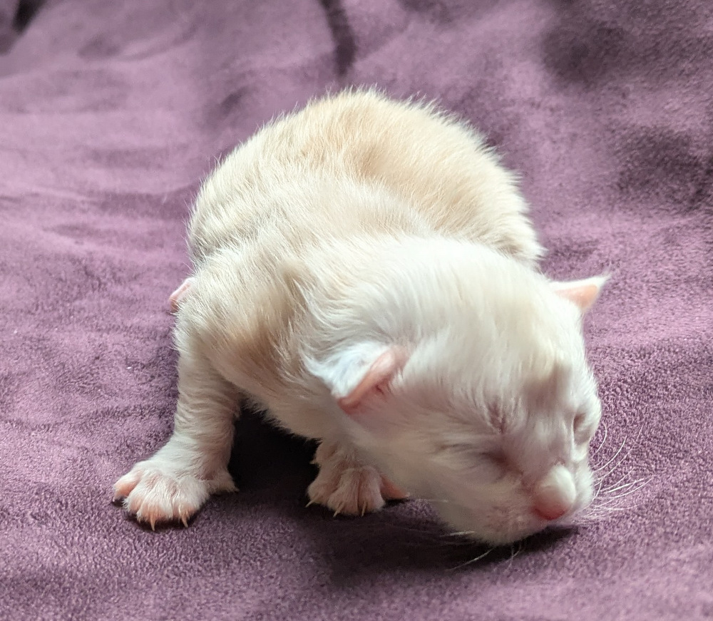 PXL 20251203 122322806