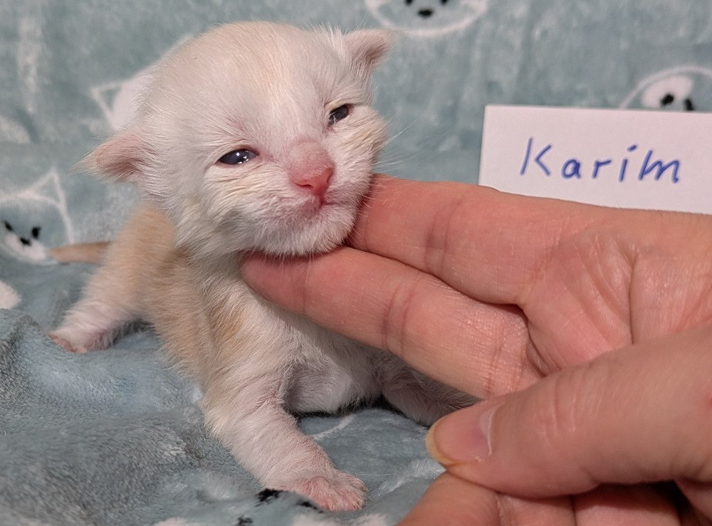 PXL 20251211 162044258