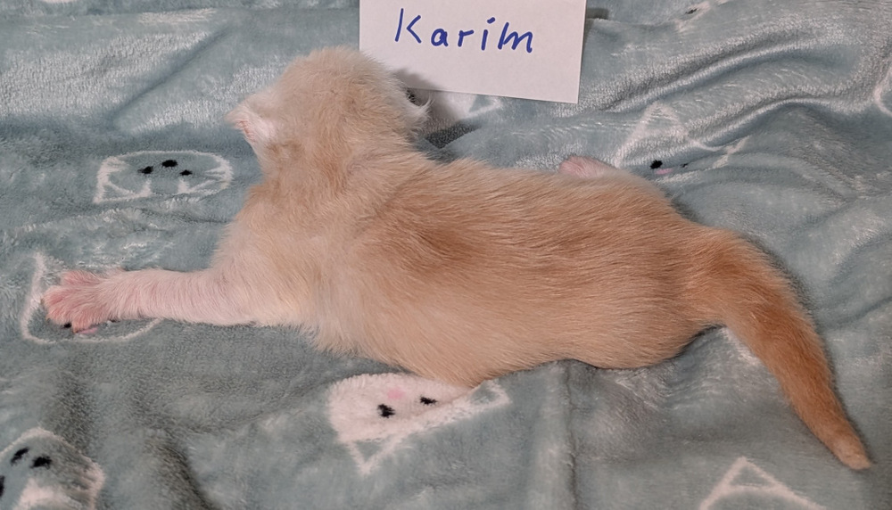 PXL 20251211 162055414