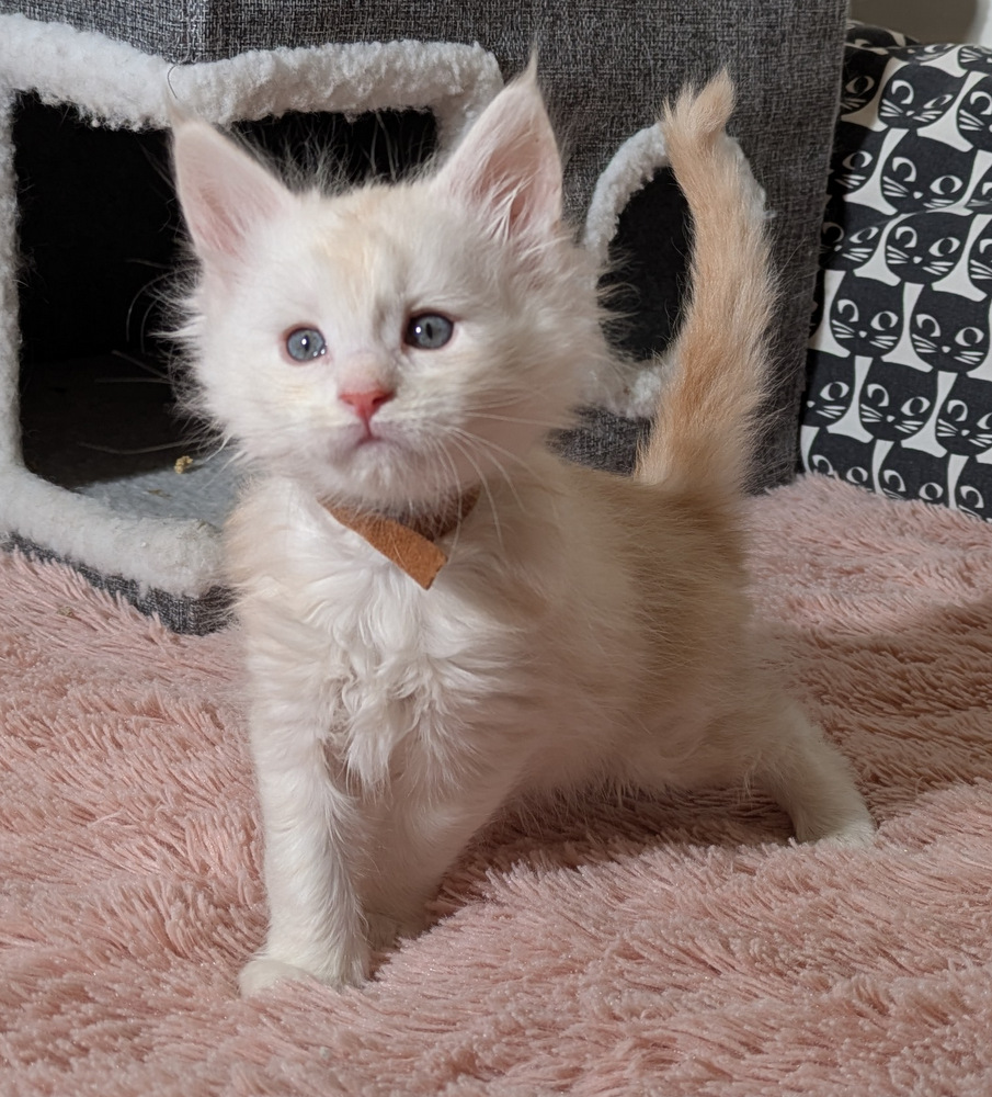 PXL 20260109 113850536