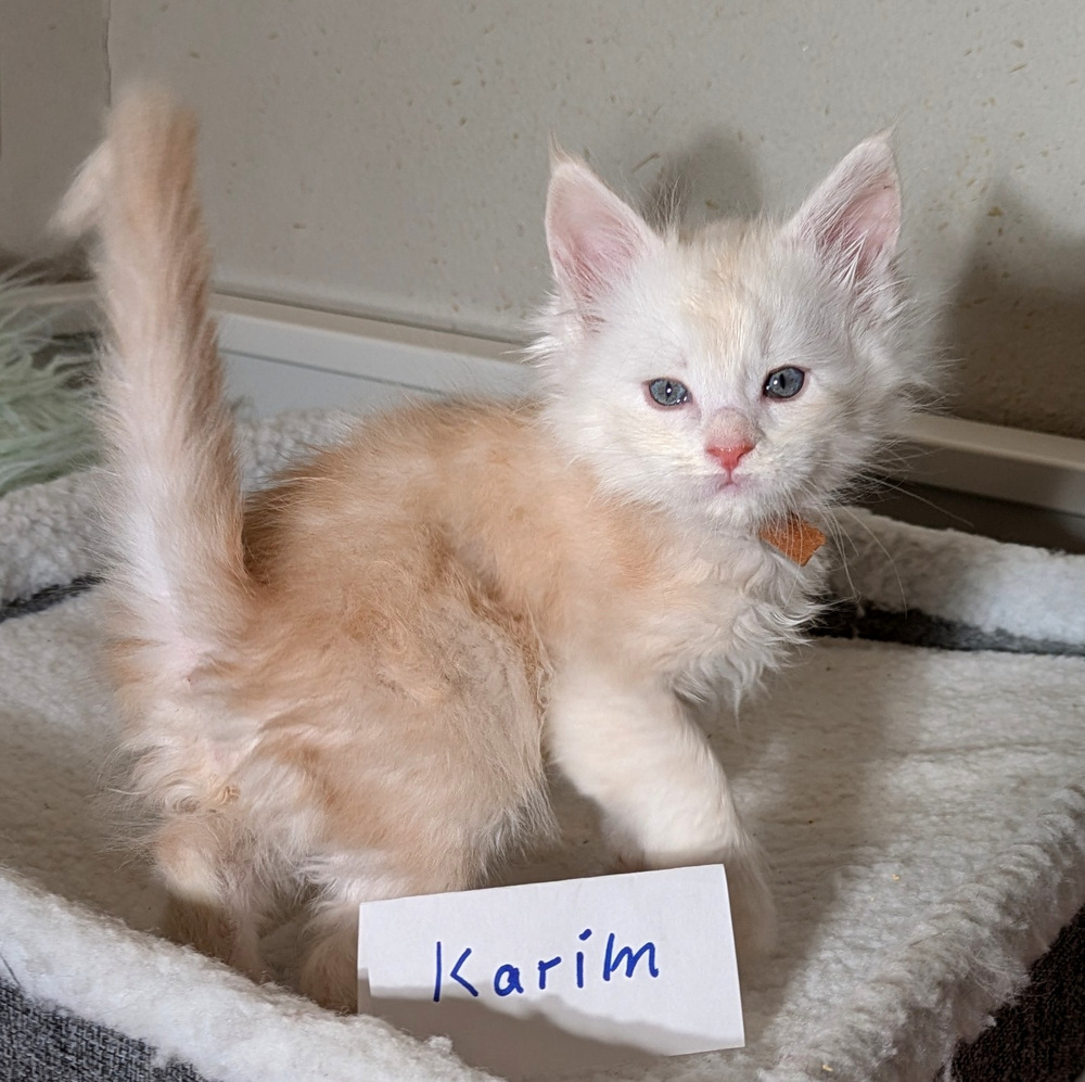 PXL 20260109 113911039