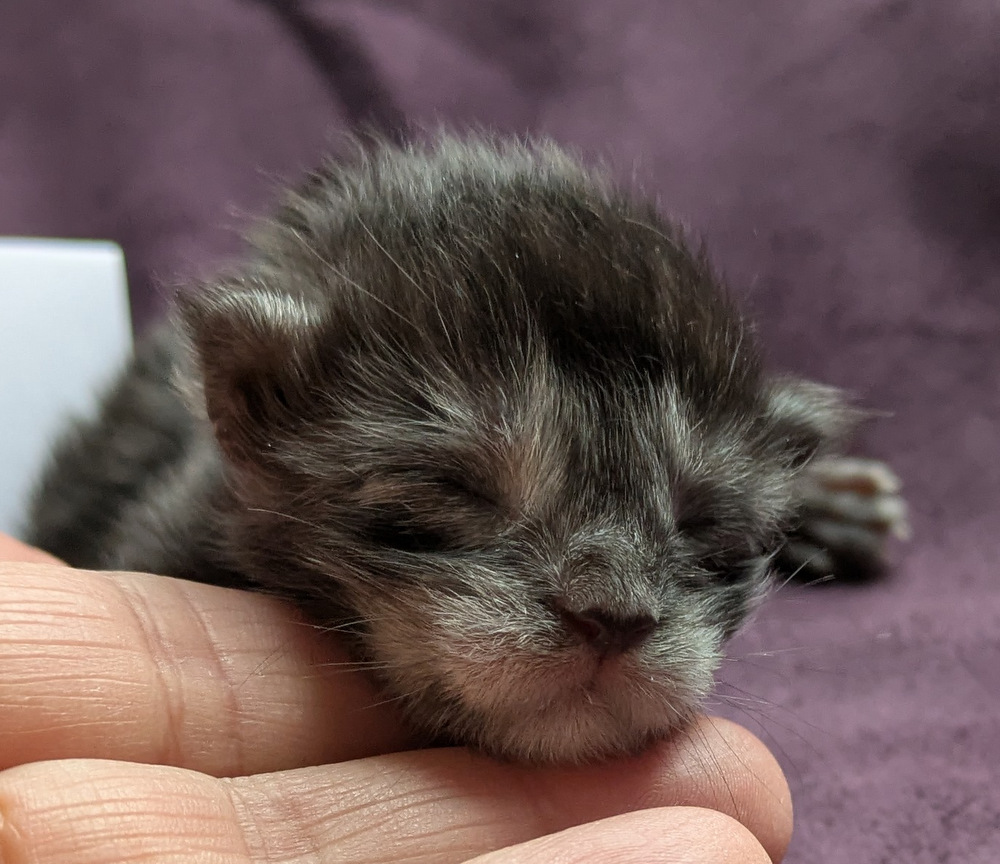 PXL 20251203 122725763