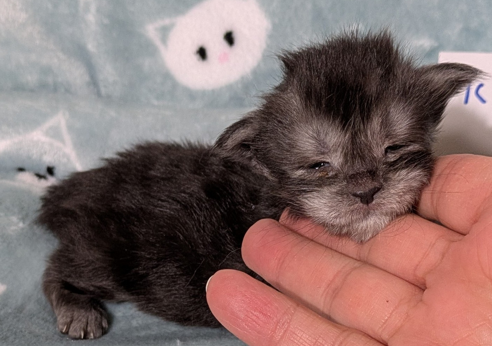 PXL 20251211 163032064