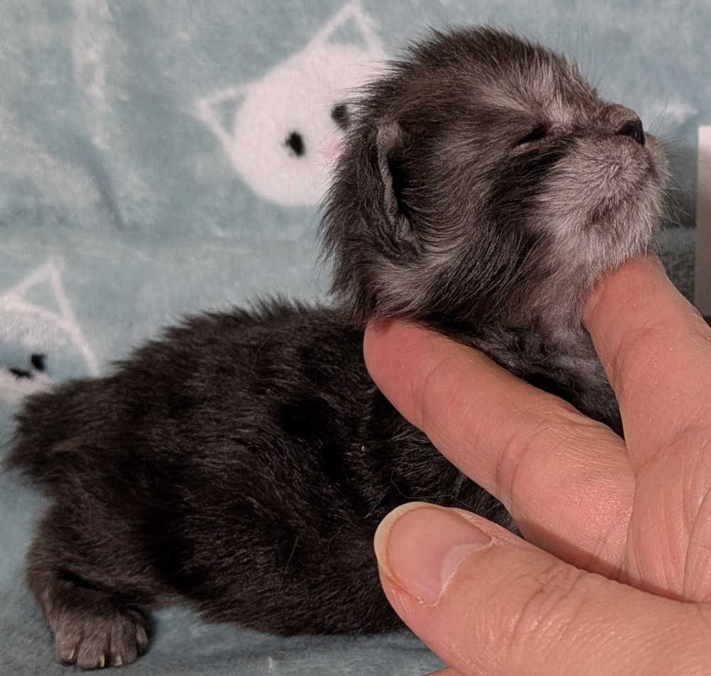 PXL 20251211 163036126