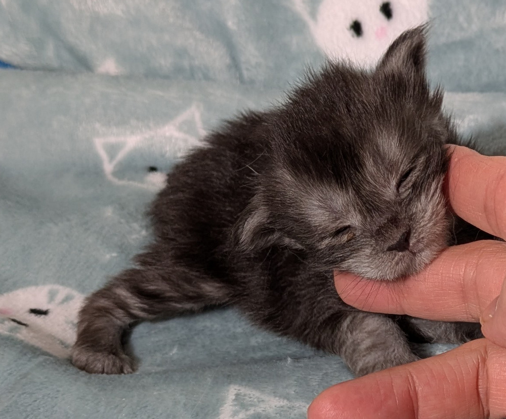 PXL 20251211 163054618