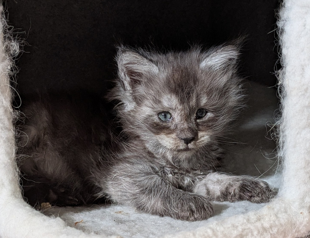 PXL 20260109 120705084