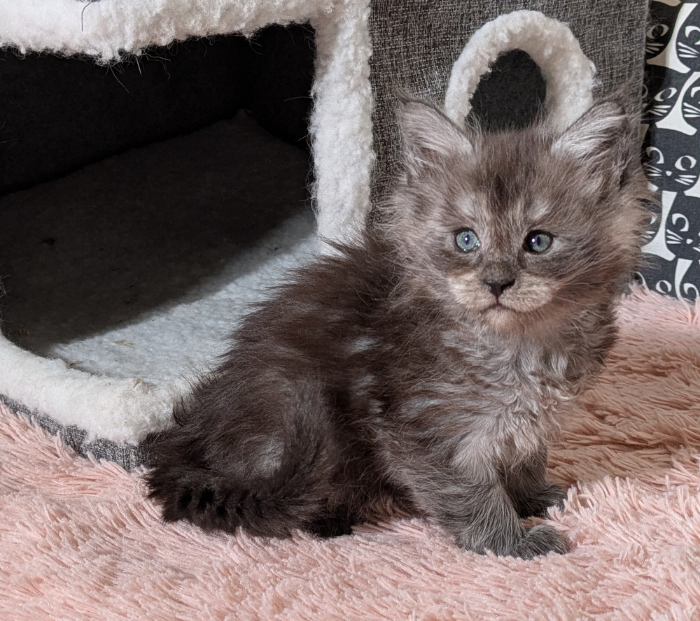 PXL 20260109 120758873