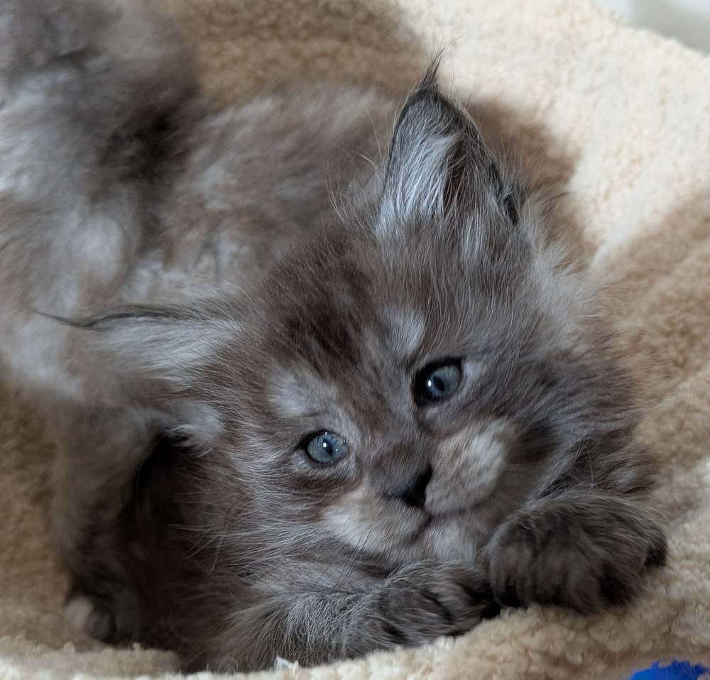 PXL 20260109 121718340