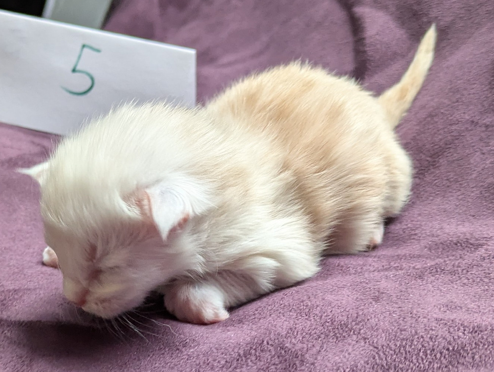 PXL 20251203 122512115