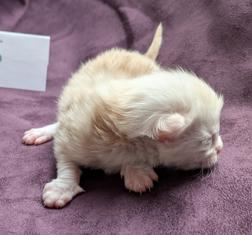 PXL 20251203 122529982