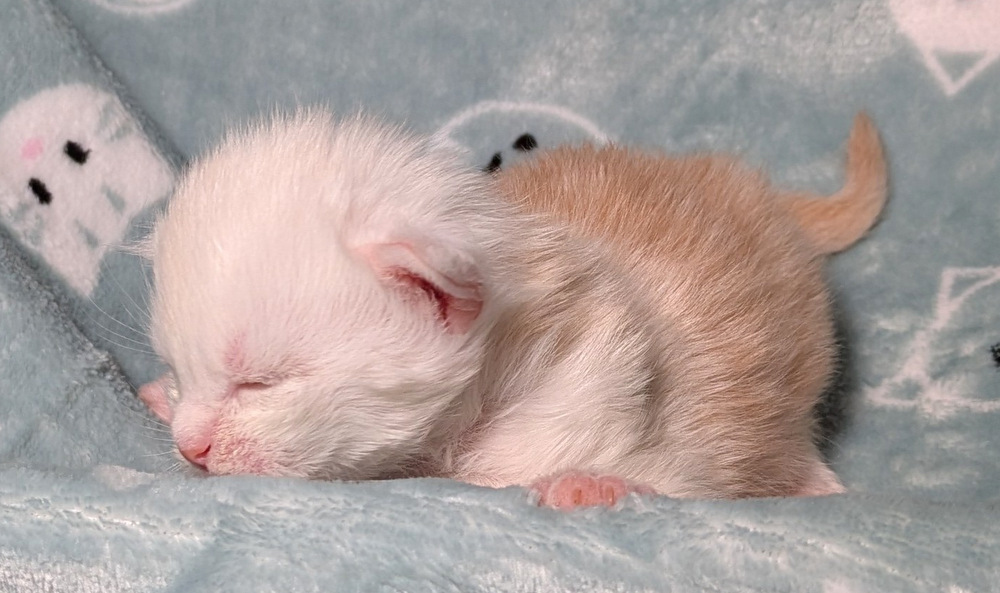 PXL 20251211 160052424