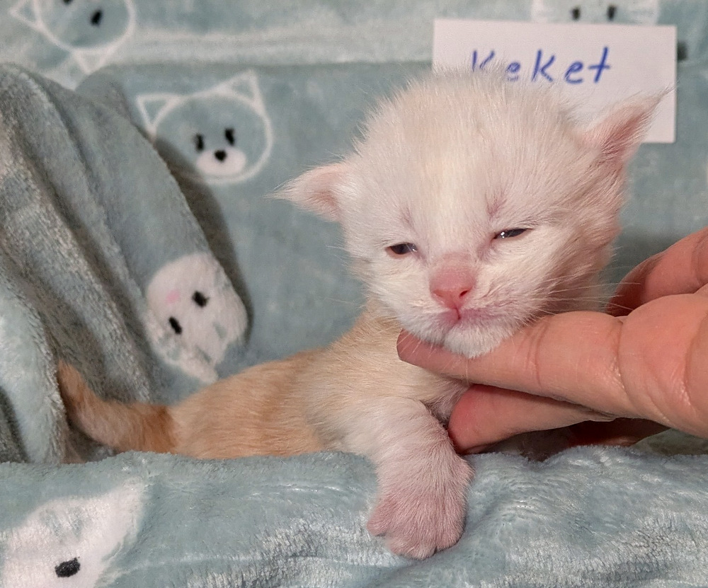 PXL 20251211 160120285