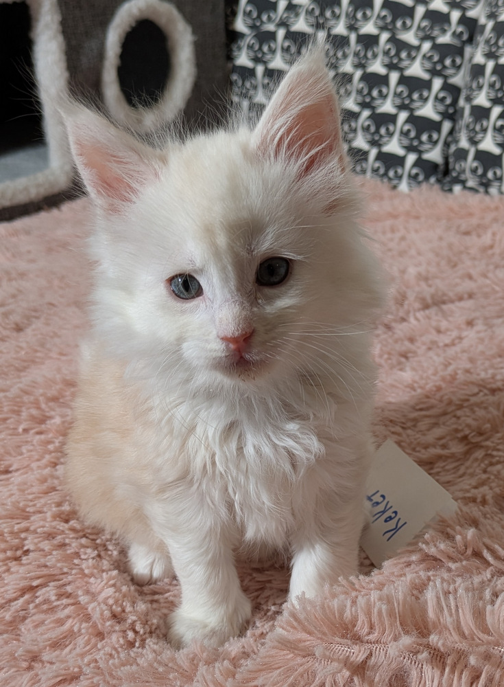 PXL 20260109 115617085.MP