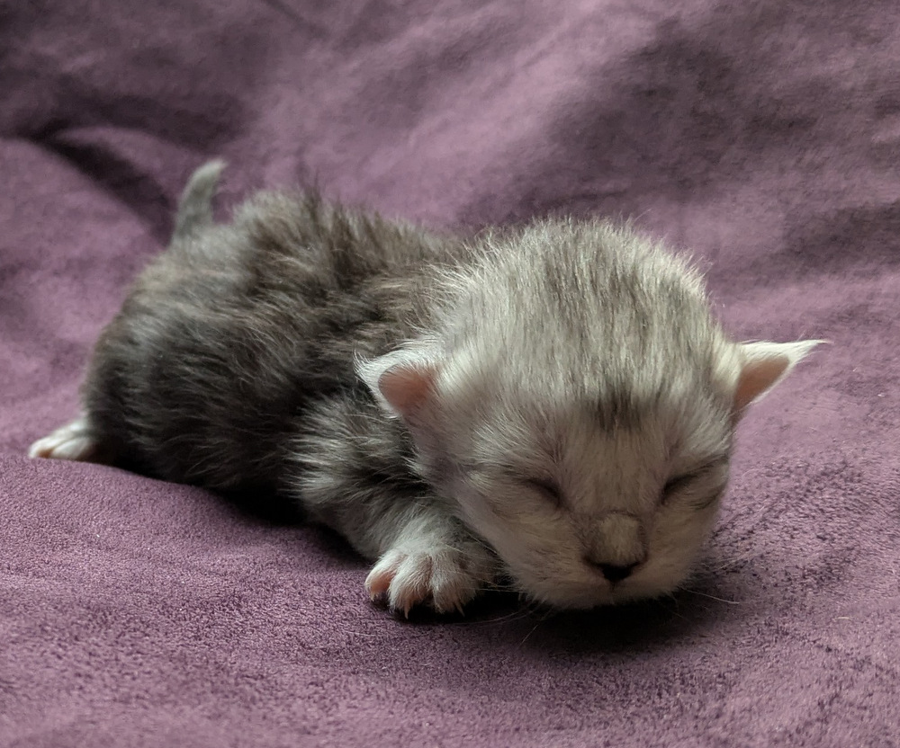 PXL 20251203 122942365