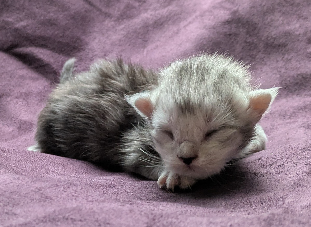 PXL 20251203 122949458