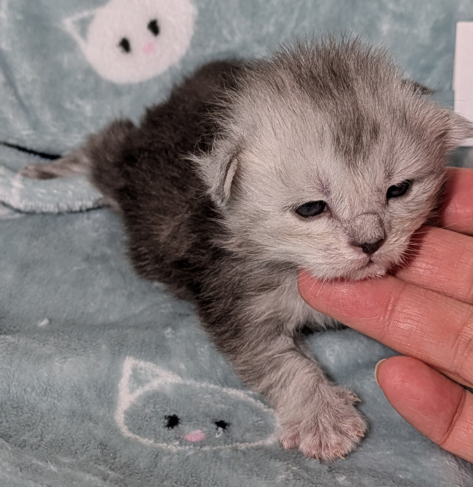 PXL 20251211 162909004