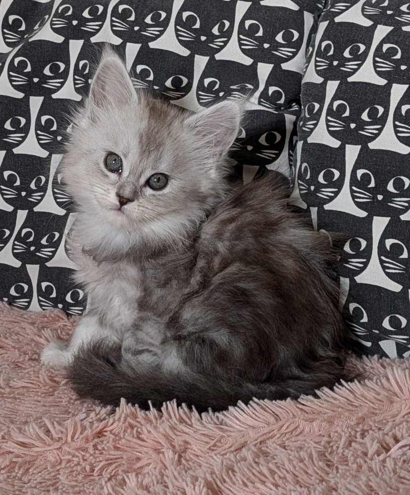 PXL 20260109 120934962