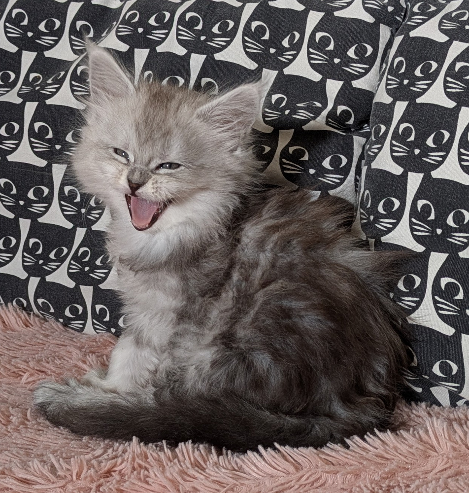 PXL 20260109 120939067