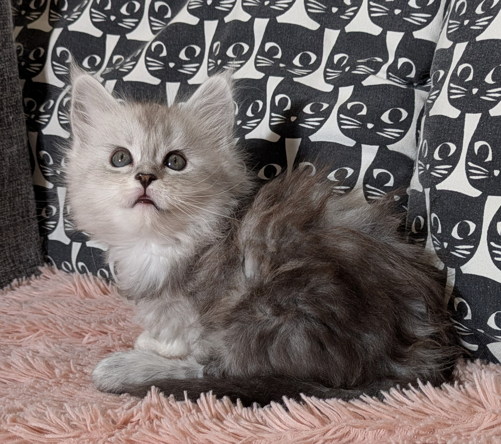 PXL 20260109 121022058