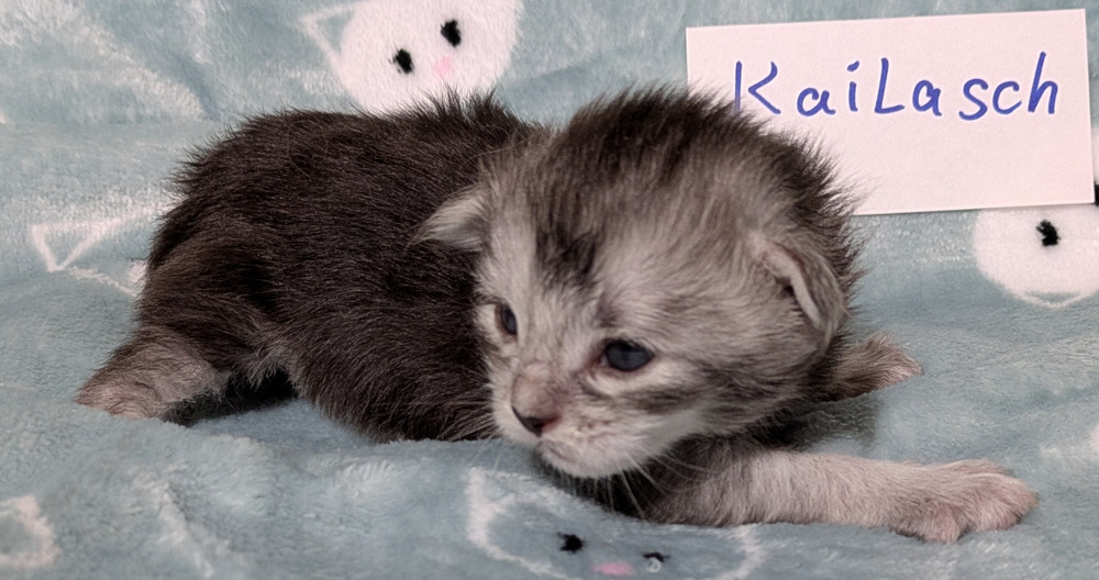 PXL 20251211 162544086