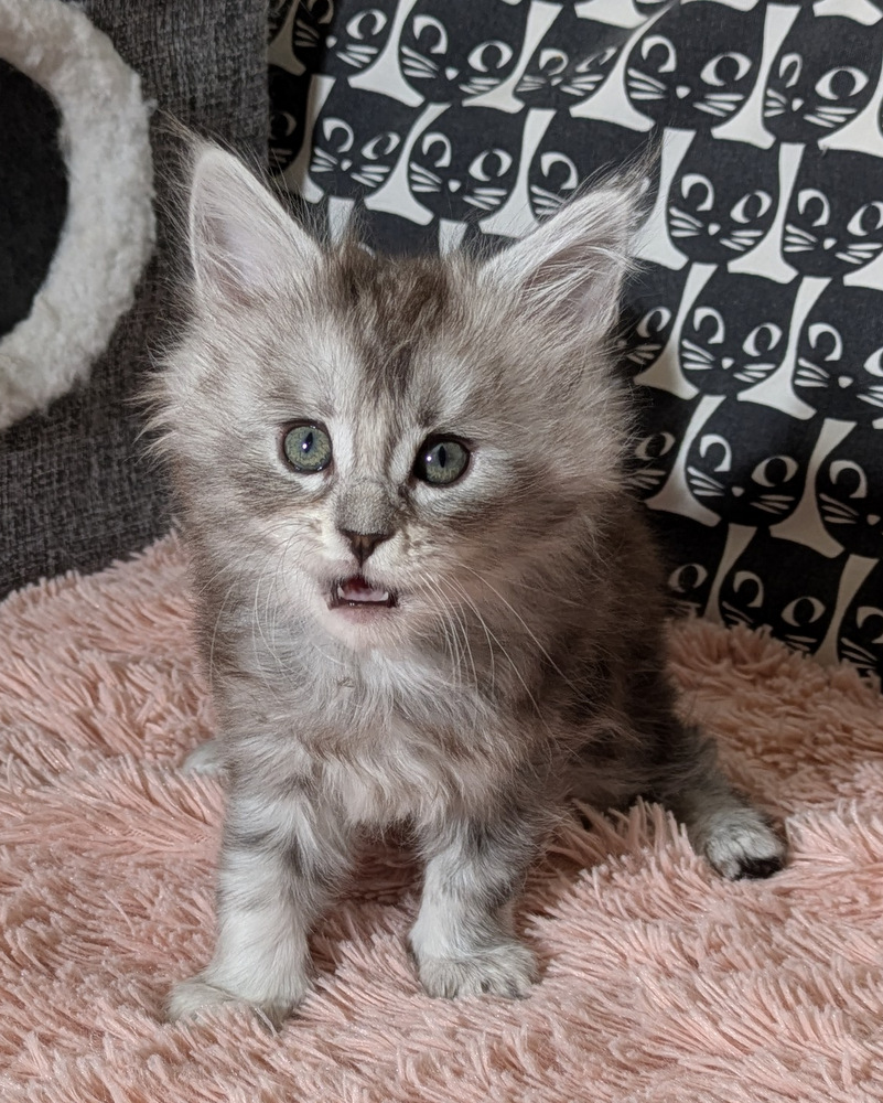 PXL 20260109 121222051