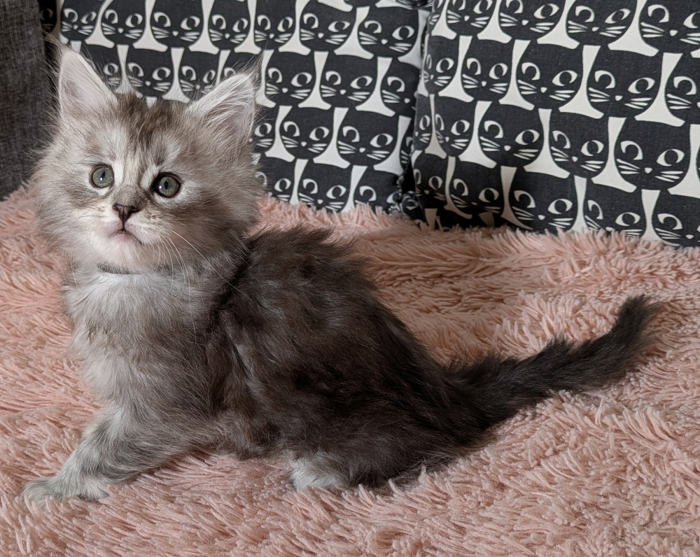 PXL 20260109 121305731