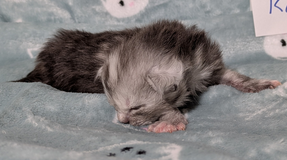 PXL 20251211 162622980