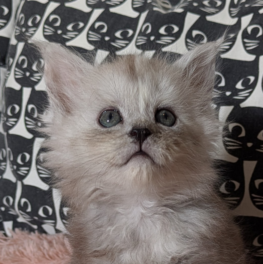 PXL 20260109 120027065