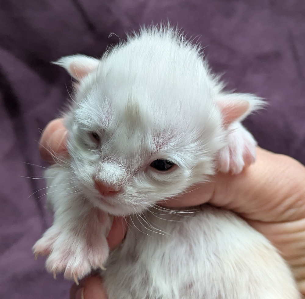 PXL 20251203 121944719