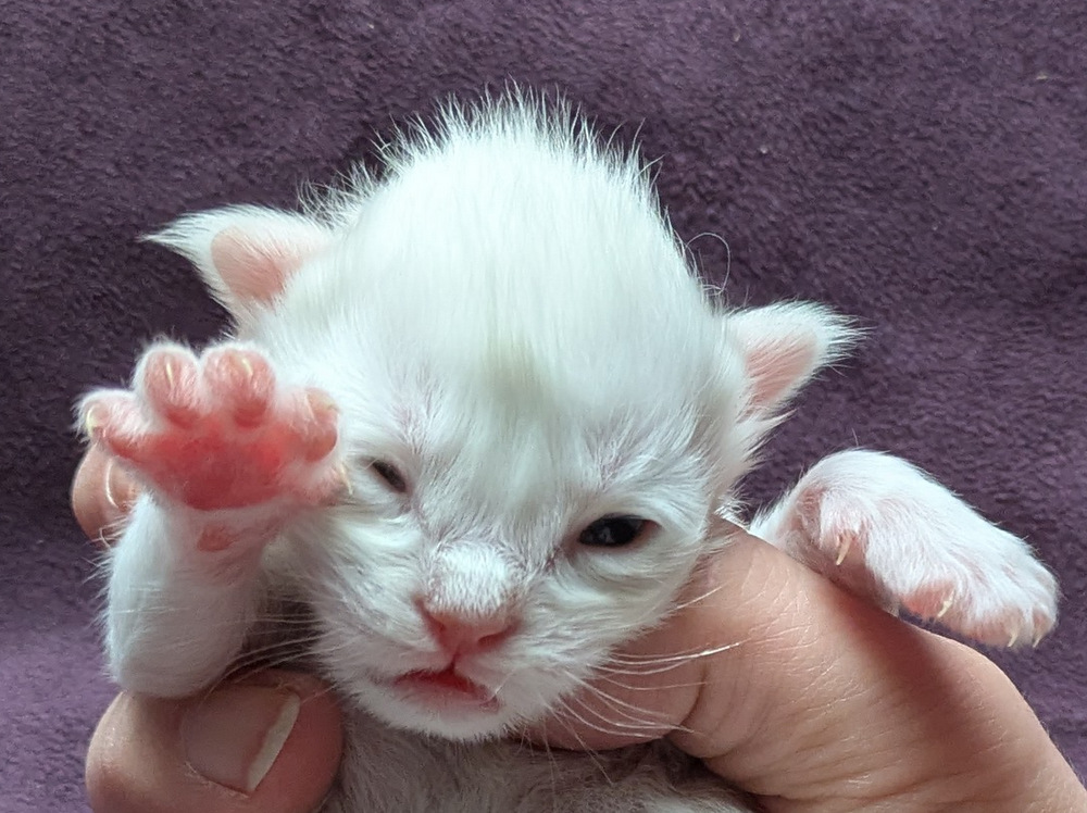 PXL 20251203 121948856