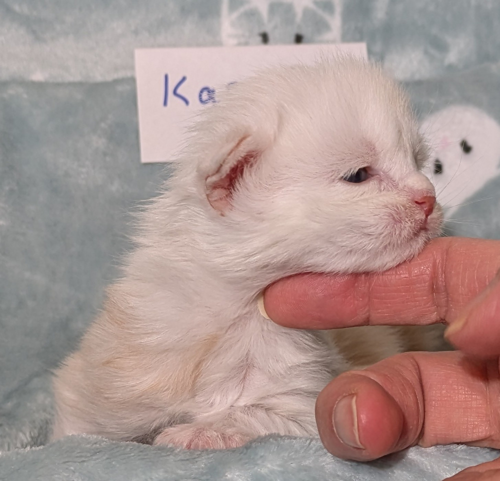 PXL 20251211 160637204