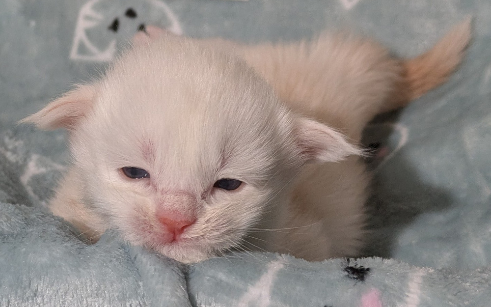 PXL 20251211 161104889