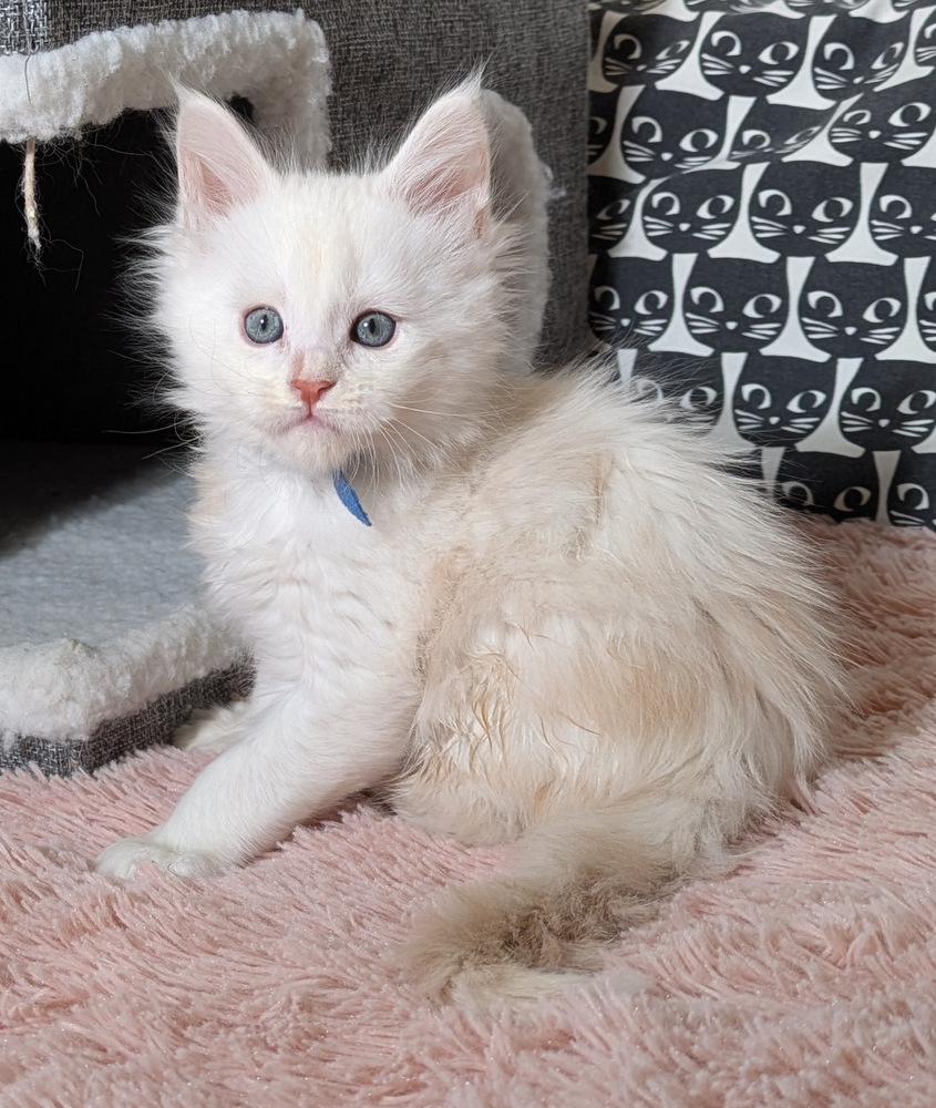 PXL 20260109 114819310