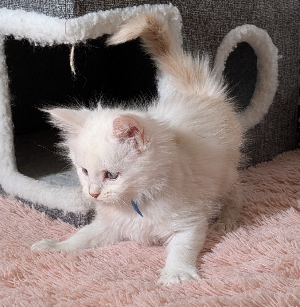 PXL 20260109 114845781