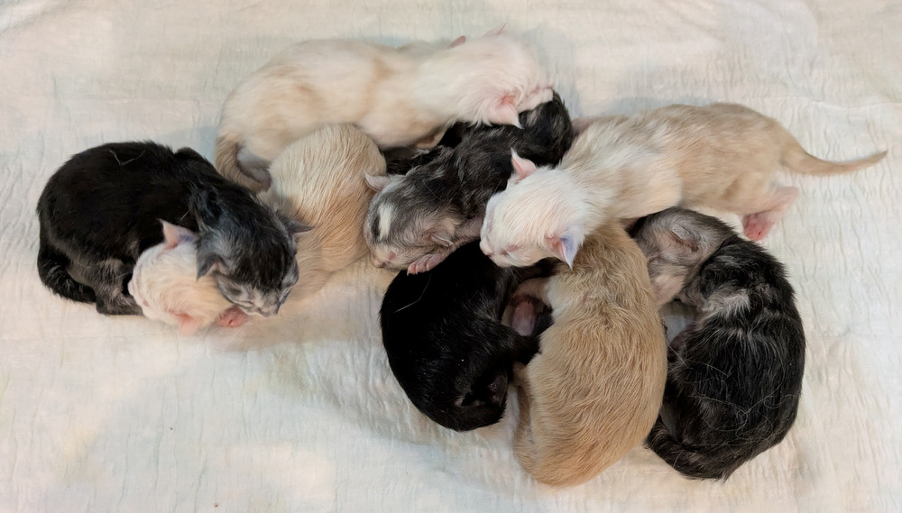 PXL 20251128 131118257.MP