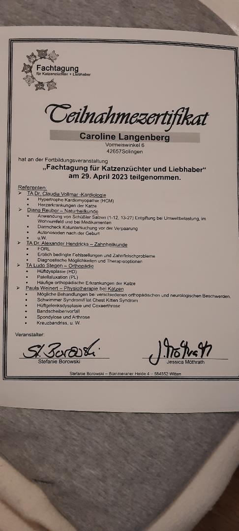 Fachtagung Zertifikat 29.4.23