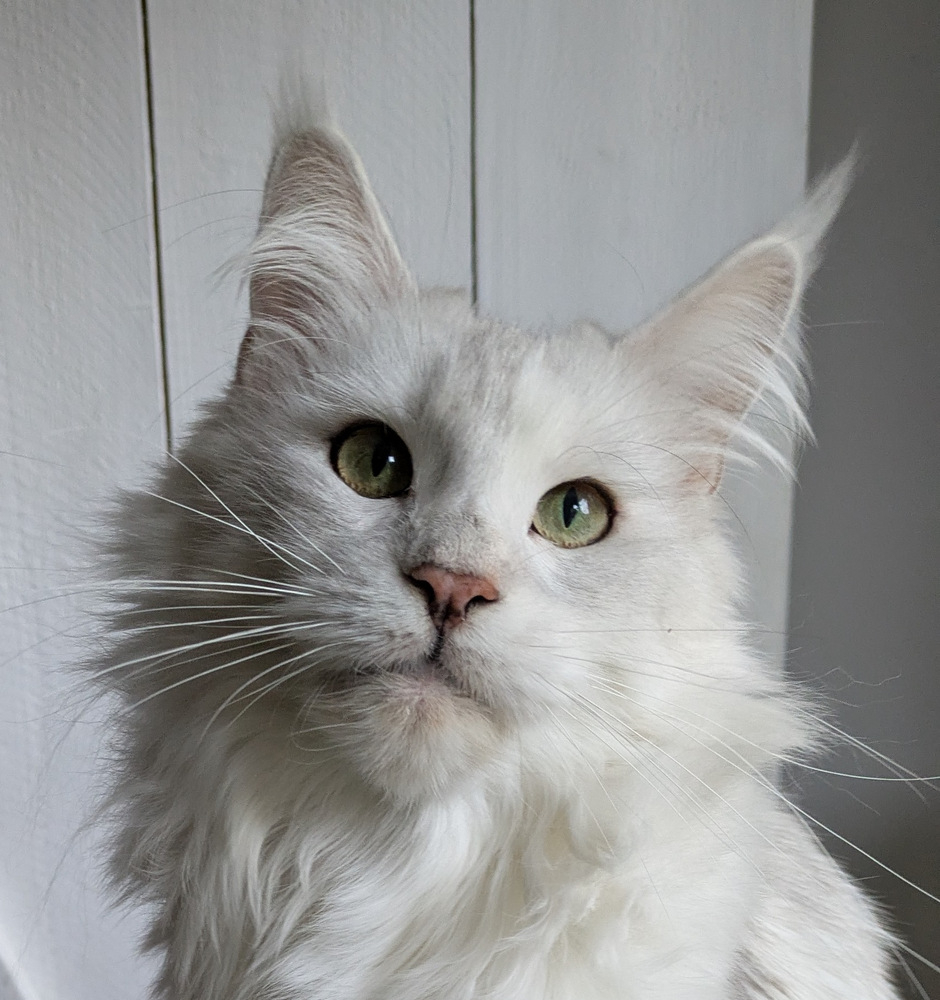 PXL 20251027 120420773