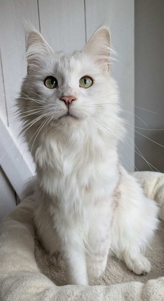 PXL 20251027 120432675