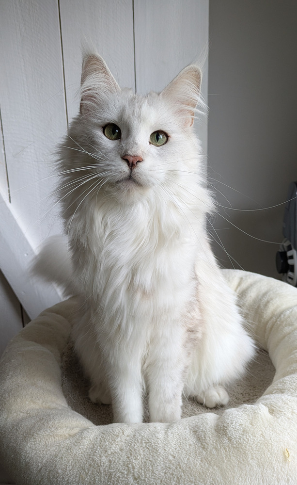 PXL 20251027 120436095